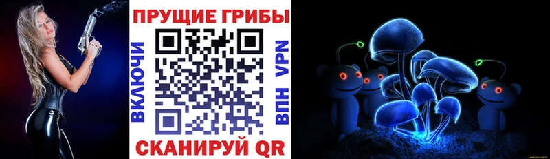 Галлюциногенные грибы Psilocybe Каспийск