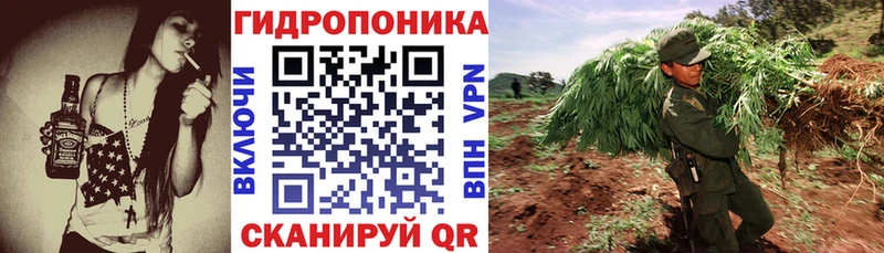 Канабис OG Kush Каспийск